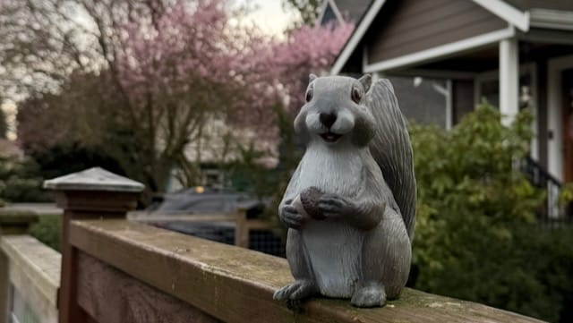 From Lunch Walks to My First 10K