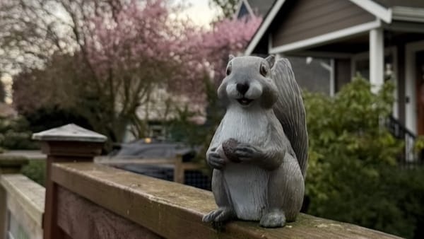 From Lunch Walks to My First 10K